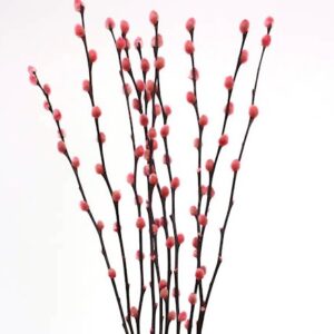 Dried flower Steams