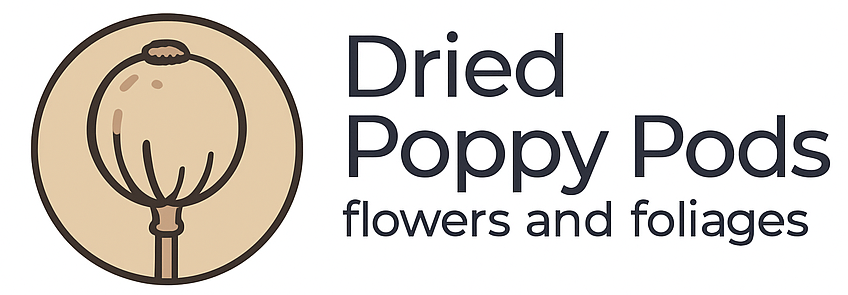 logo icon